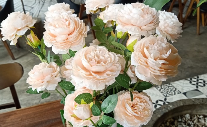 Dong Hoi – an early Valentine’s celebration