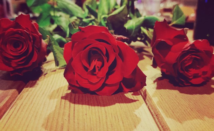 10 Things I’m missing about&nbsp;Dalyan