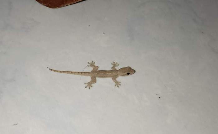 Phong Nha – the 2nd weekend of&nbsp;May