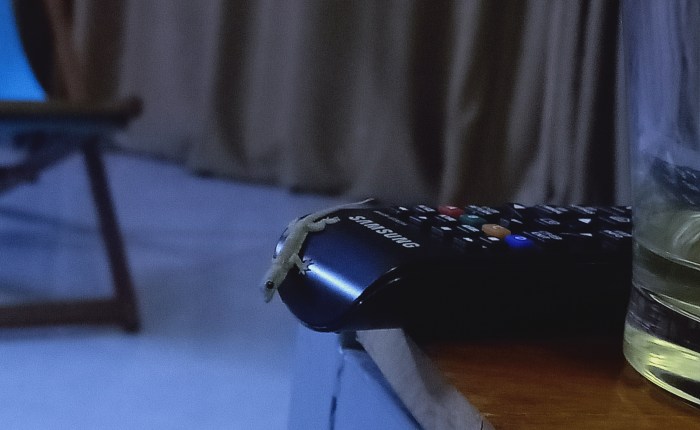 Phong Nha – the last week of&nbsp;May