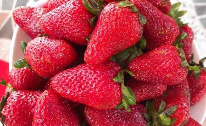 Phong Nha – the 4th weekend of&nbsp;May