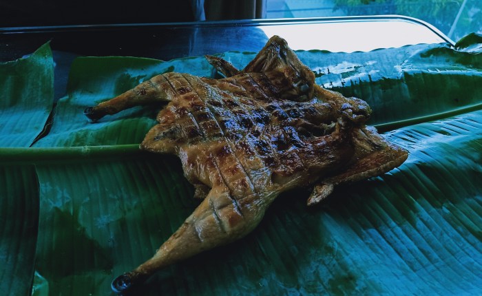 Phong Nha – 11th&nbsp;June