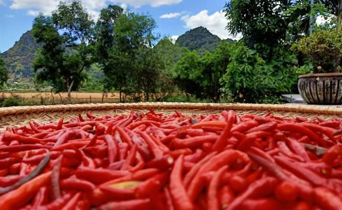 Phong Nha – 10th&nbsp;June