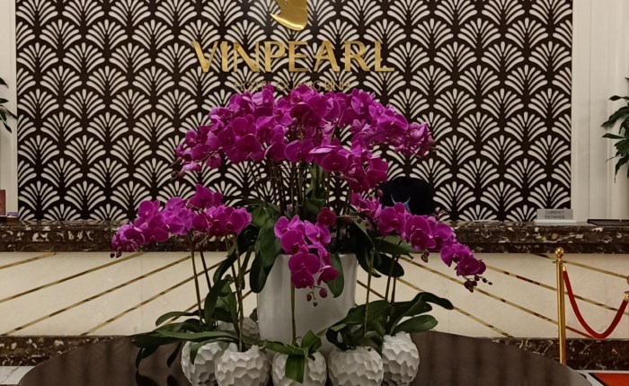 Arriving in Vietnam –&nbsp;January