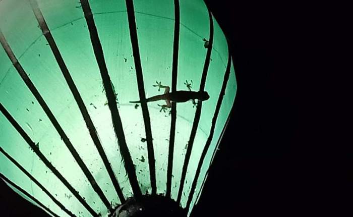 Phong Nha – the 1st weekend of&nbsp;October