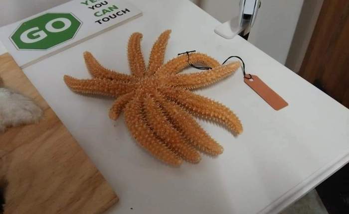 Australia 2018 – New Year’s&nbsp;Eve