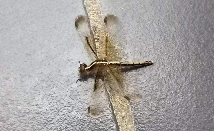 Phong Nha – 28th&nbsp;November