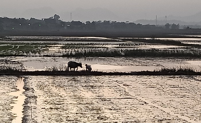 Phong Nha – the last week of&nbsp;December