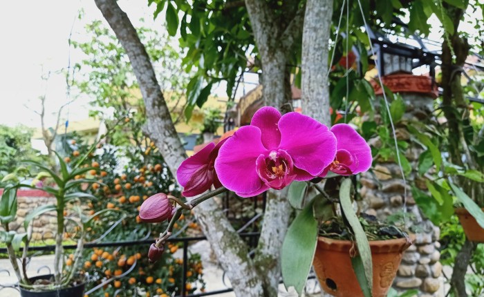 Phong Nha – 18th & 19th&nbsp;March