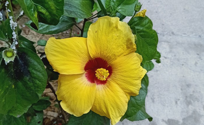 Phong Nha – 9th&nbsp;April