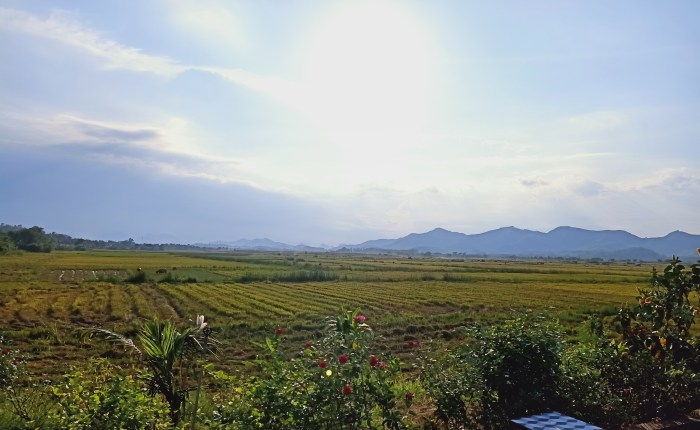 Phong Nha – 23rd May