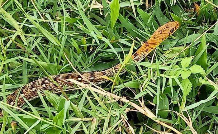 Phong Nha – 12th & 13th June