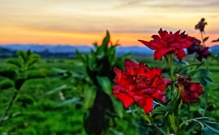 Phong Nha – 3rd & 4th&nbsp;July