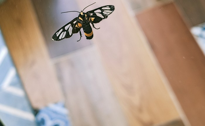 Phong Nha – 6th to 8th&nbsp;August