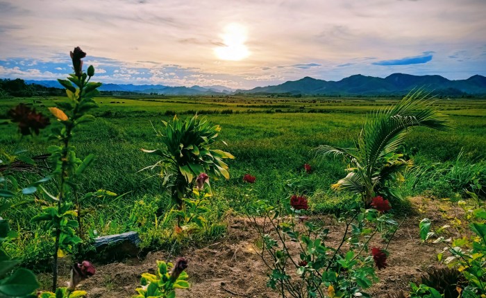 Phong Nha – 14th&nbsp;August
