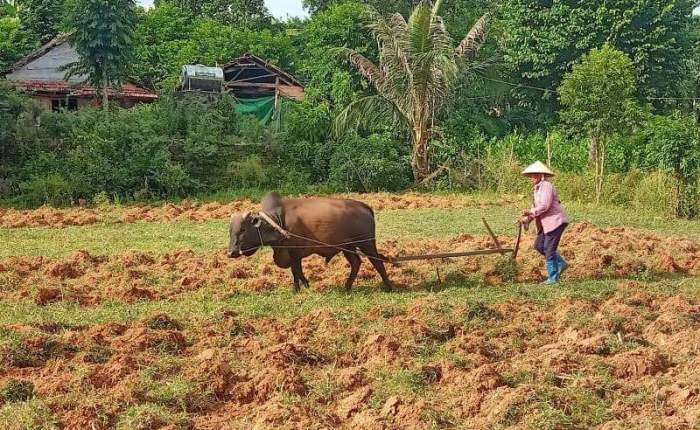 Phong Nha – 5th&nbsp;August