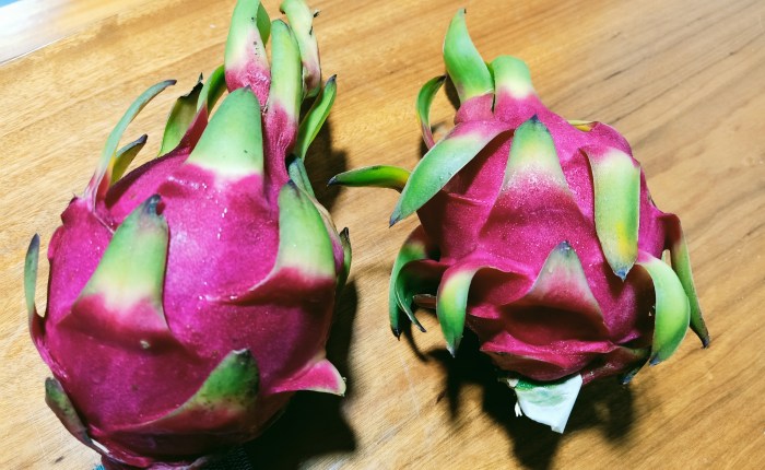 Phong Nha – 27th&nbsp;August