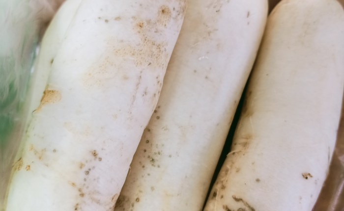 25 Things I Googled in&nbsp;August