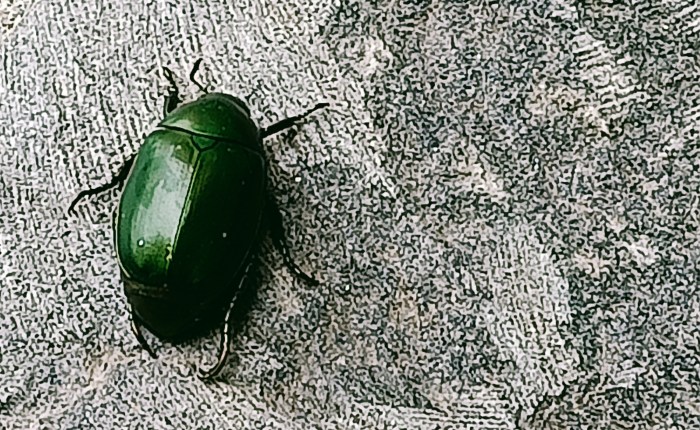 Phong Nha – 7th&nbsp;September