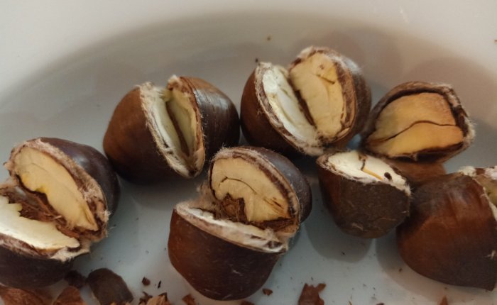 Dalyan – 25th&nbsp;November