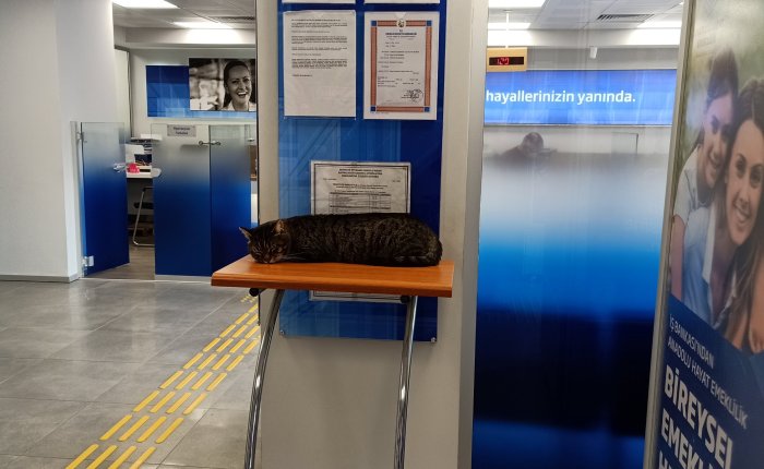 Dalyan – 10th&nbsp;December