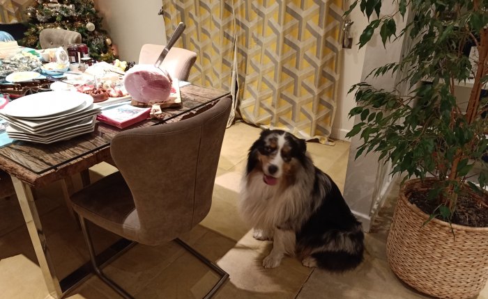 Sheffield – Christmas&nbsp;Eve