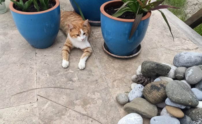 Dalyan – 30th & 31st&nbsp;March