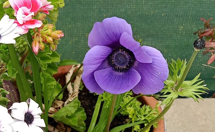 Dalyan – 3rd & 4th&nbsp;April