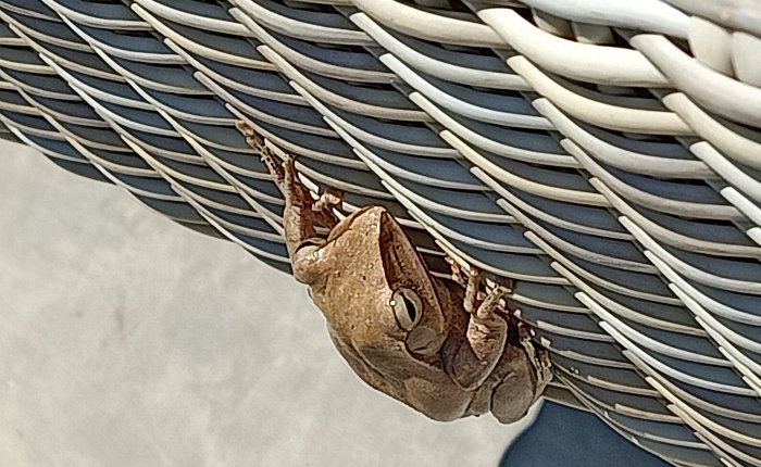 Phong Nha – 23rd&nbsp;June