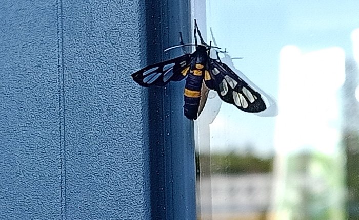 Phong Nha – 27th & 28th&nbsp;June