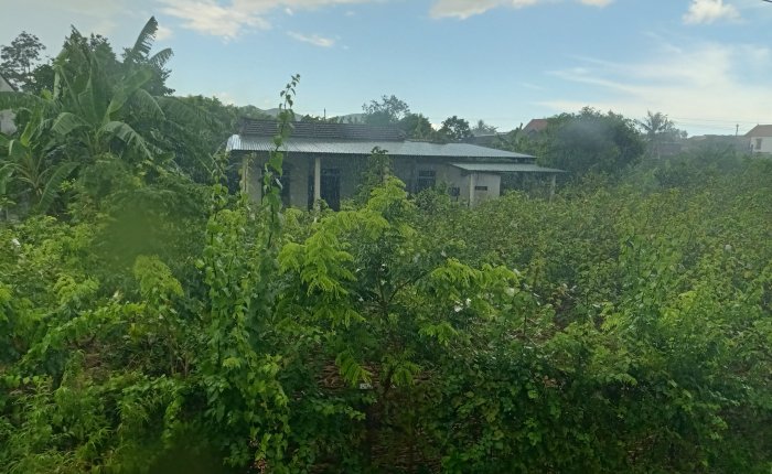 Phong Nha – 21st&nbsp;July