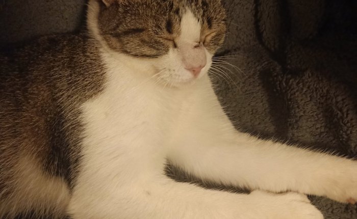 Dalyan – 5th & 6th&nbsp;October