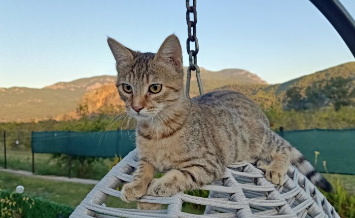 Dalyan – 9th & 10th&nbsp;October