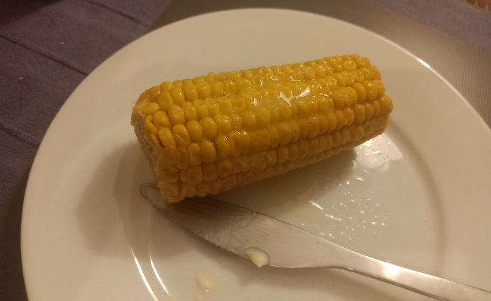 Dalyan – 24th & 25th&nbsp;October