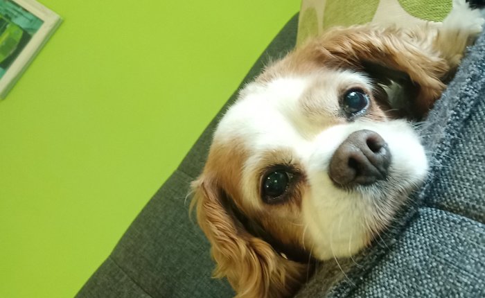 Dalyan – 26th & 27th&nbsp;October