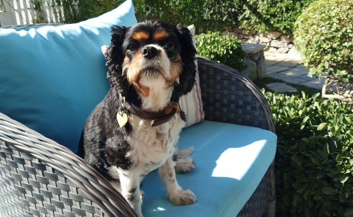 Dalyan – 2nd&nbsp;November