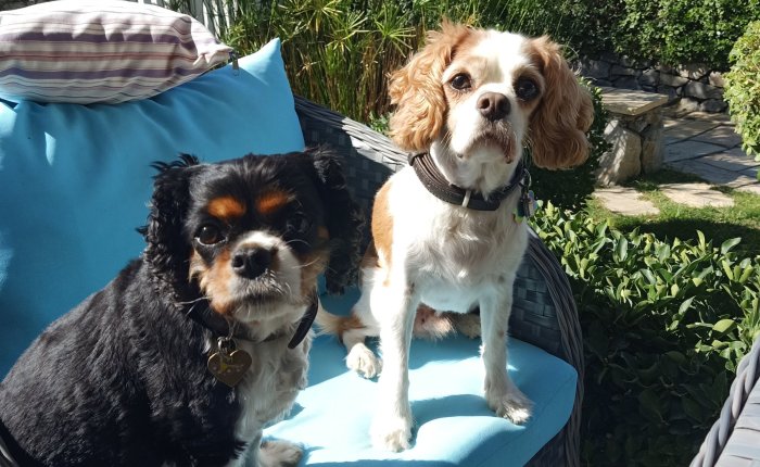 Dalyan – 3rd&nbsp;November