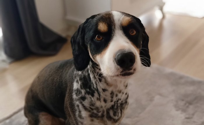 Dalyan – 30th&nbsp;November