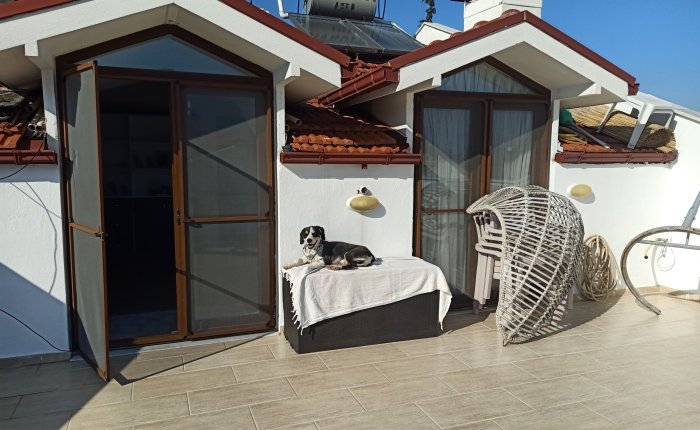 Dalyan – 5th&nbsp;December