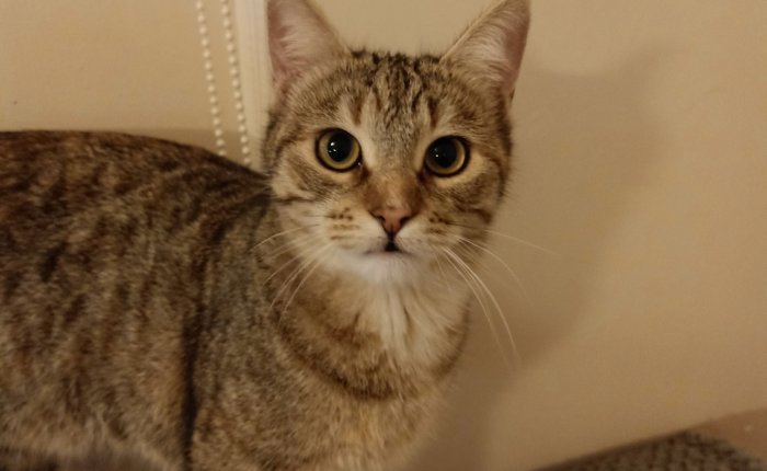 Dalyan – 6th&nbsp;December