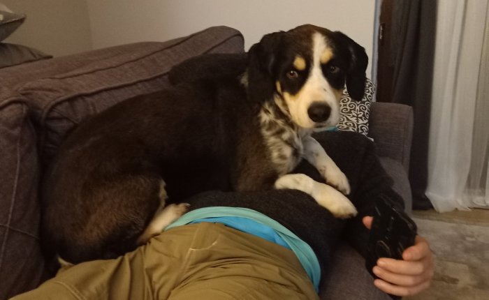 Dalyan – 23rd&nbsp;December