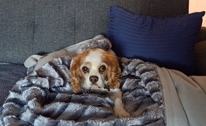 Dalyan – 3rd & 4th&nbsp;January