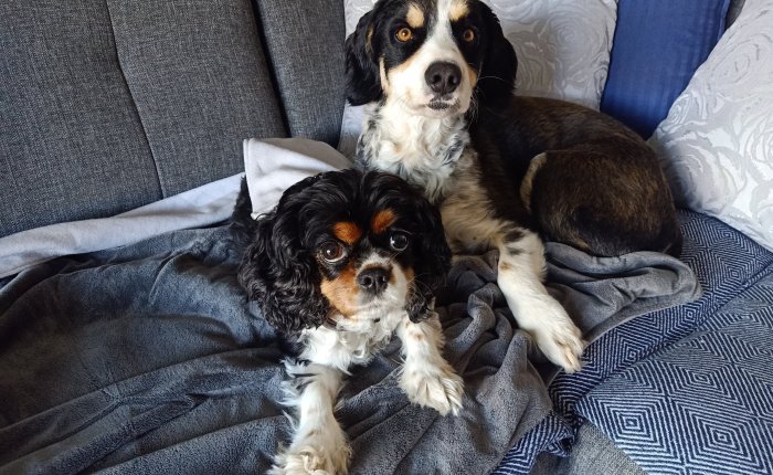 Dalyan – 6th&nbsp;January