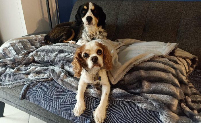 Dalyan – 16th to 18th&nbsp;January