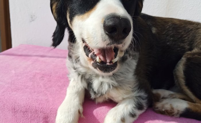 Dalyan 25th & 26th&nbsp;January