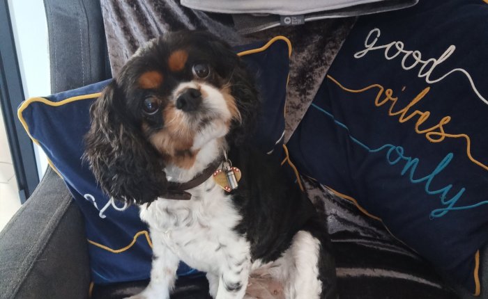 Dalyan – 6th&nbsp;February