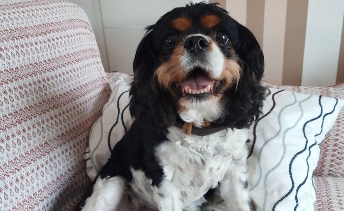 Dalyan – 20th&nbsp;February