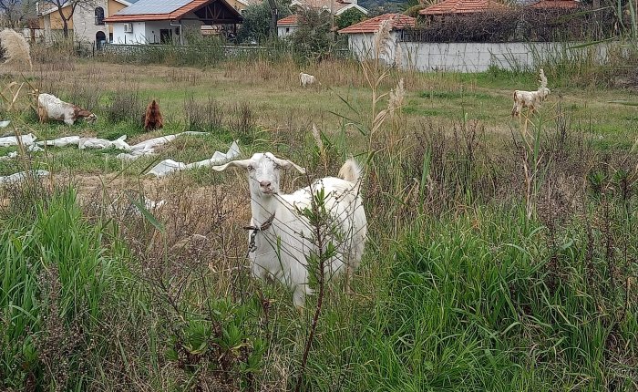 Dalyan – 4th&nbsp;March