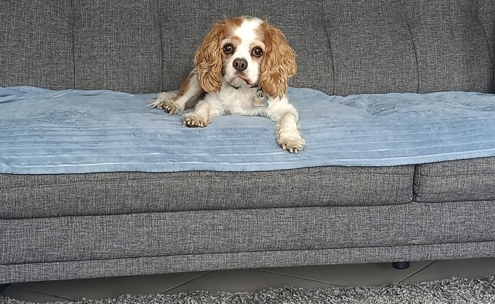 Dalyan – 11th & 12th&nbsp;March