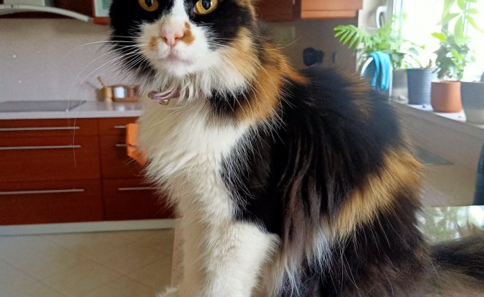 Rhodes – 3rd to 5th&nbsp;July